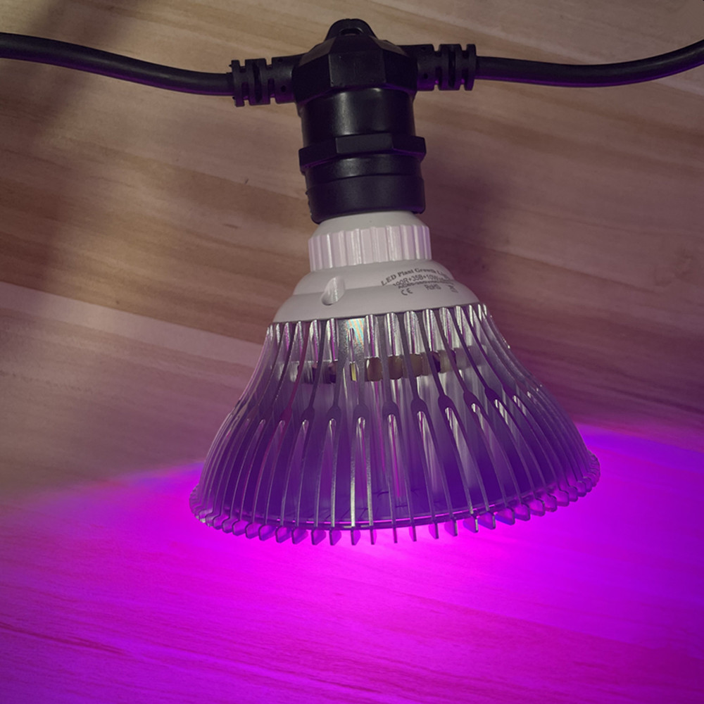 10M Kabel LED, komercyjna jako – Outdoor Lighting Strip recenzja i cena